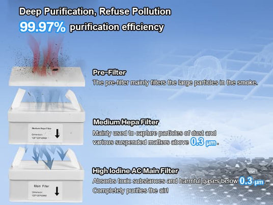 Fumeclear FC-2001S deep purification